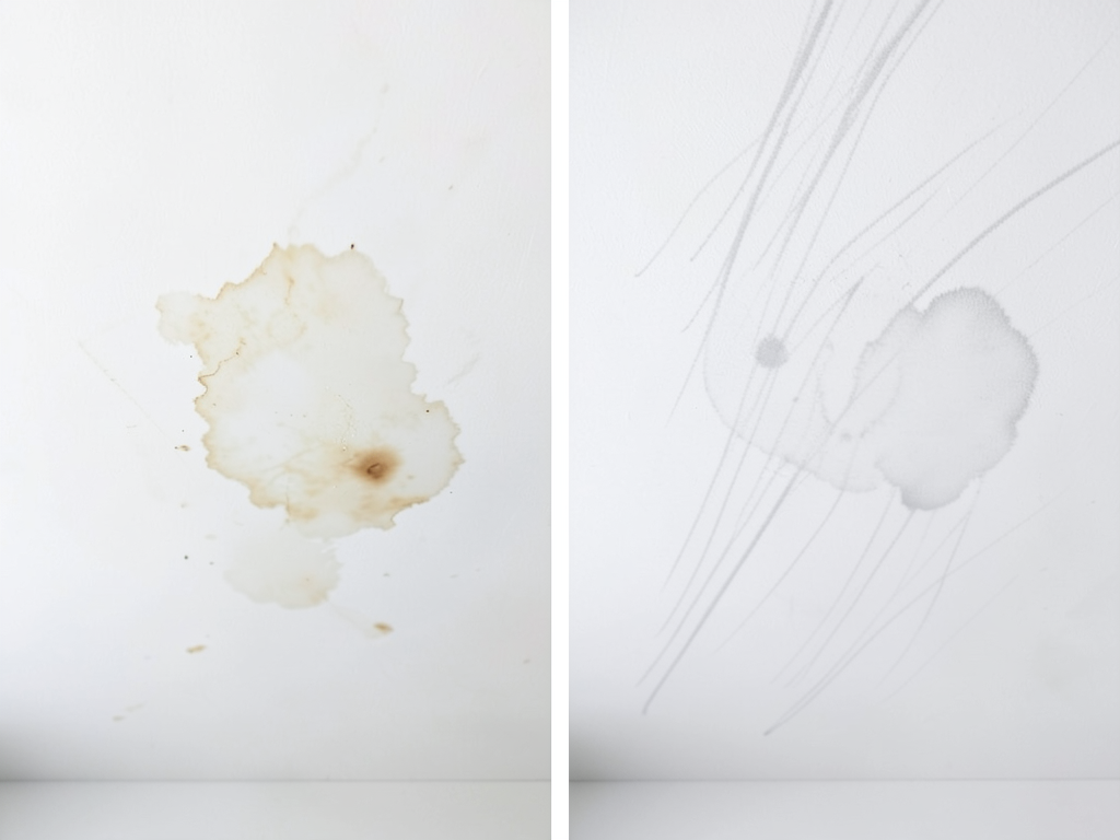 Why You See Dark Lines on Your LaSalle Gardens Ceiling (Is it a Leak or Ghosting?)